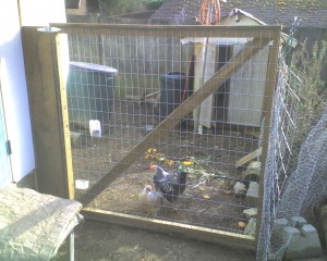 Not exclusively installed to expose the rat to dog urine and cat accessibility, but also to thwart our little escapee...