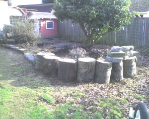 Still recovering from moving the logs, but they sure made the broken concrete seem light...